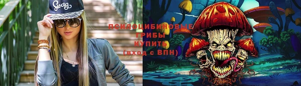 гидра Алзамай